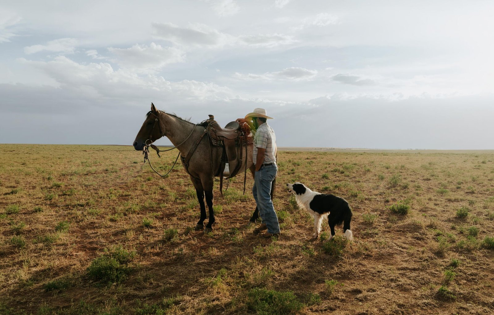 Un ranchero cuida un caballo mientras su perro mira.