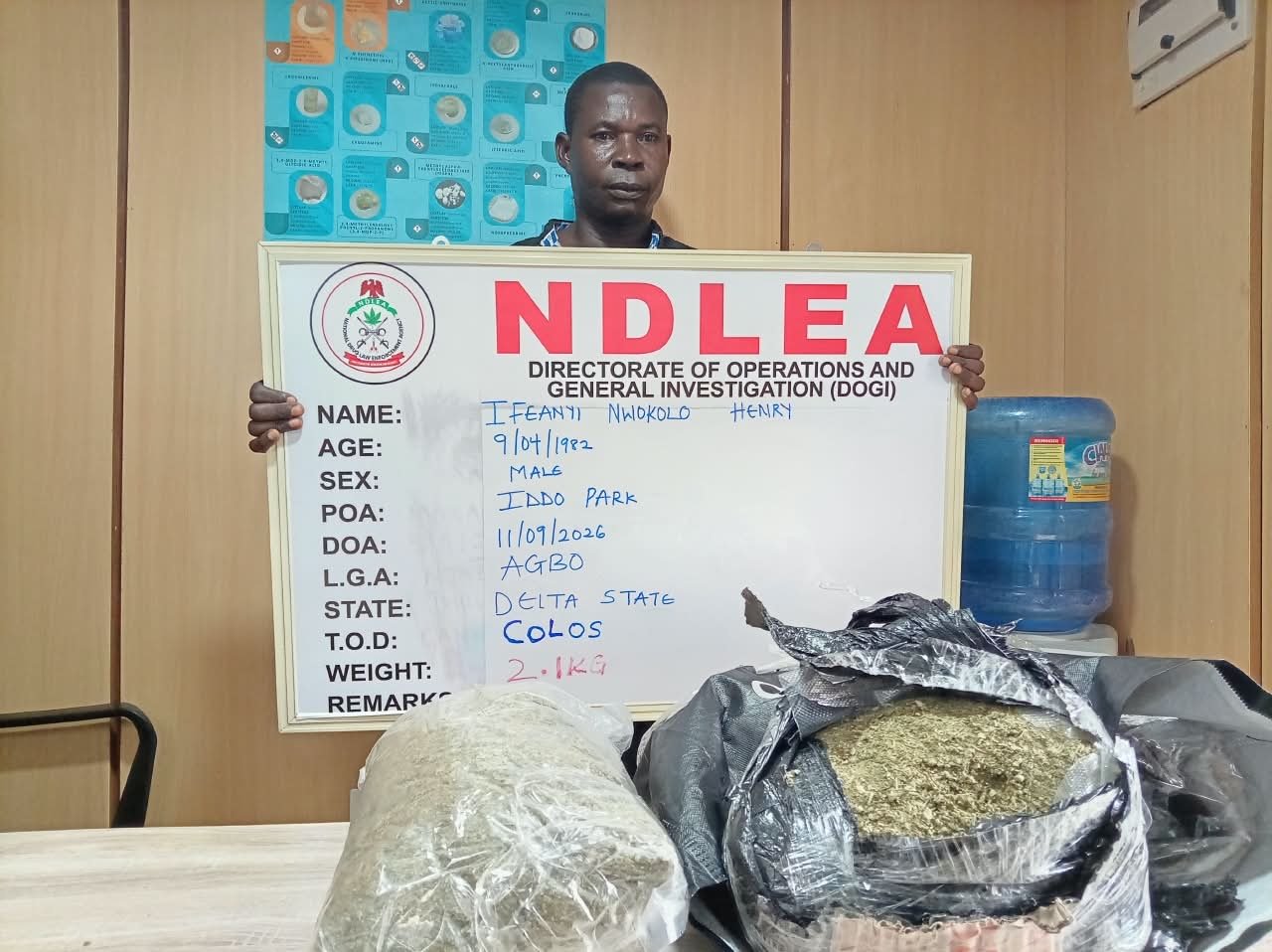 NDLEA desmantela la coca en el Reino Unido y descubre opioides en pan y altavoces musicales