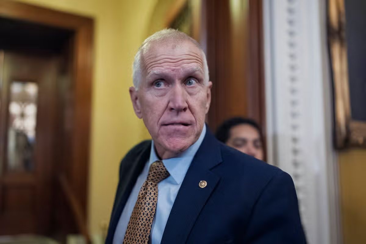 Senador Thom Tillis