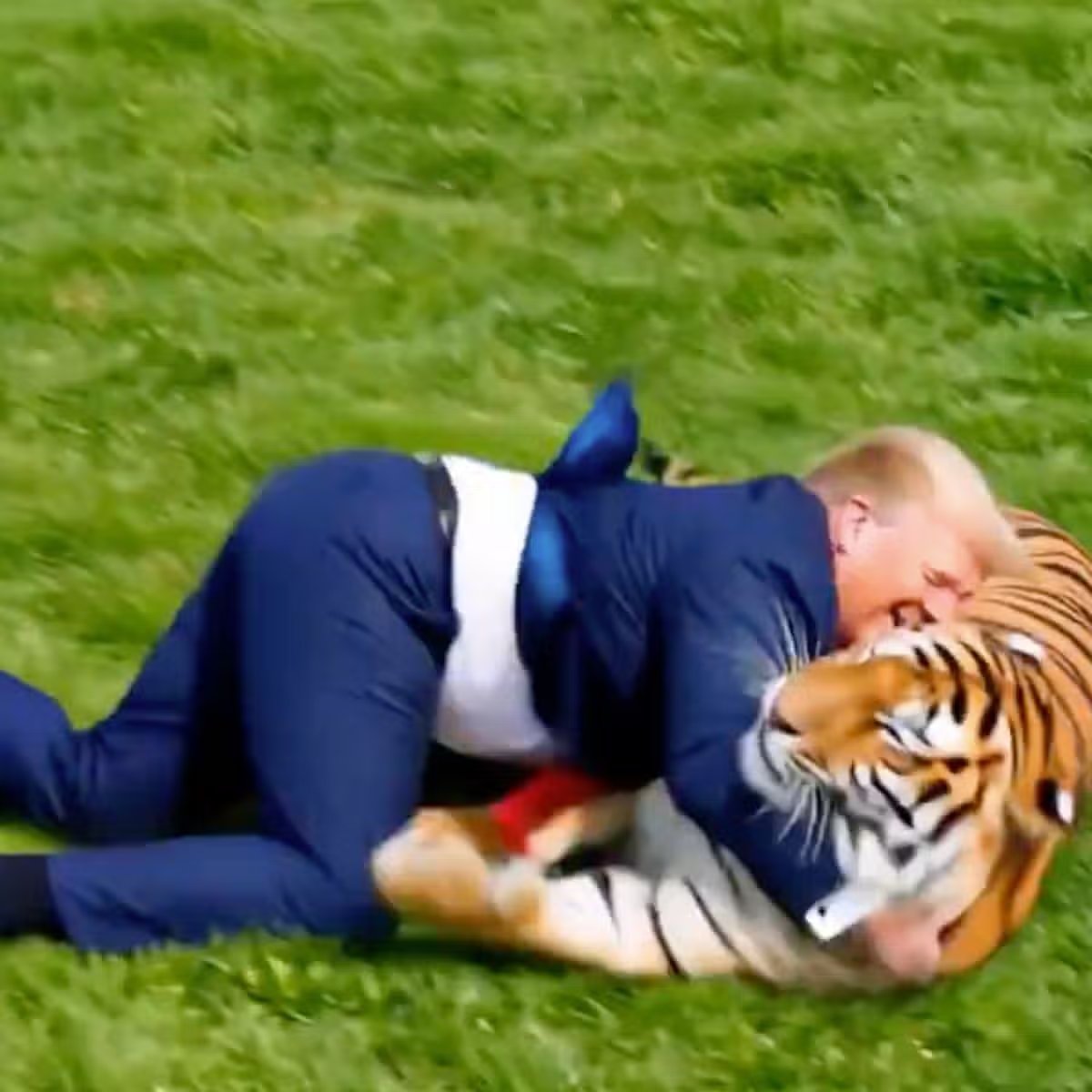 Trump publica un vídeo generado por IA de él mismo luchando contra un tigre que mató a un británico de 23 años