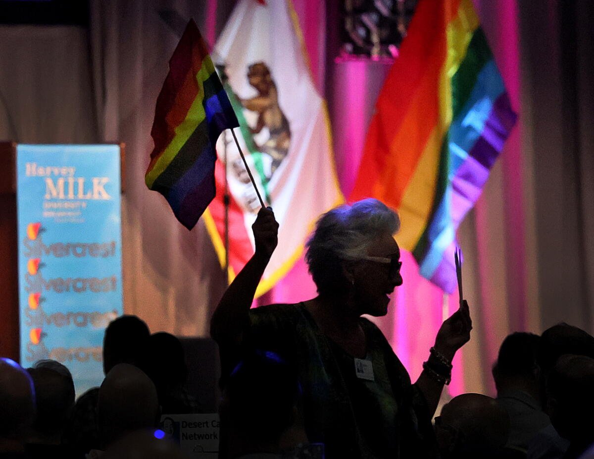 Silueta de una mujer sosteniendo una bandera del orgullo